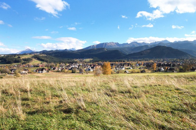 Bachledzki Wierch - Zakopane