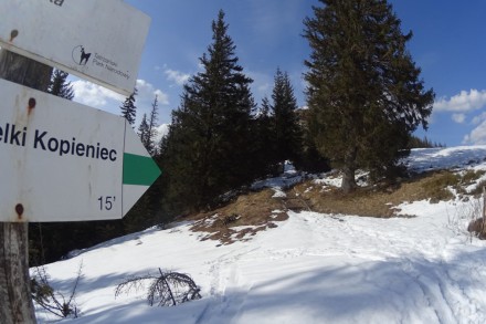 Skitourowe Zakopane. Trasa skitourowa Z Toporowej Cyrhli przez Wielki Kopieniec na Nosalową Przełęcz