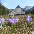 Dolina Jaworzynka - doliny - dolina - Tatry