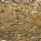 Dolinka za Mnichem  - doliny - dolina - Tatry