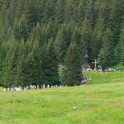 Dolina Chochołowska - Kaplica