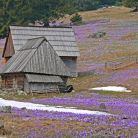 Dolina Chochołowska - doliny - dolina - Tatry