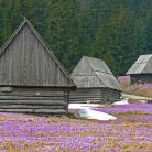 Dolina Chochołowska - doliny - dolina - Tatry