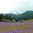 Dolina Chochołowska - doliny - dolina - Tatry