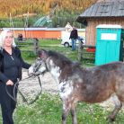 Stadnina koni Jędruś - dla aktywnych - jazda konna - Zakopane