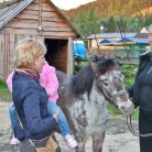 Stadnina koni Jędruś - dla aktywnych - jazda konna - Zakopane