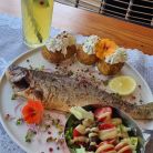 Bistro Kryjówka Zakopane - restauracje - restauracja - Zakopane