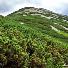 Żółta Turnia - szczyty - szczyt - Tatry