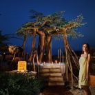 Celtycki Świat Saun Tatralandia - sauny - sauna - Liptovsky Mikulas