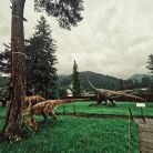 Dino Park Zakopane - dla dzieci - plac zabaw dla dzieci - Zakopane