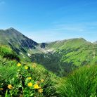 Dolina Jarząbcza - doliny - dolina - Tatry