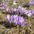 Dolina Lejowa - doliny - dolina - Tatry