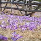 Dolina Lejowa - doliny - dolina - Tatry