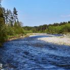 Nauka wędkarstwa muchowego dla dzieci - dla dzieci - rozrywka i zabawa - Zakopane