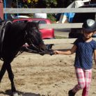 Jazda konna dla dzieci Stadnina Konsul - dla aktywnych - jazda konna - Kościelisko