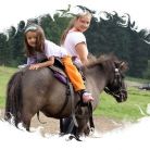 Jazda konna Stajnia Konsul Zakopane - Kościelisko