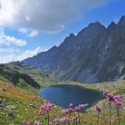 Dolina Mięguszowiecka - doliny - dolina - Tatry