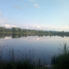 Staw komercyjny Krauszów - dla aktywnych - wędkarstwo - Krauszów