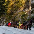 Kulig Dolina Kościeliska Janosik Travel - kuligi - kulig - Kościelisko