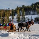 Kulig Dolina Kościeliska Janosik Travel - kuligi - kulig - Kościelisko