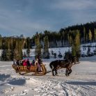 Kulig Dolina Kościeliska Janosik Travel - kuligi - kulig - Kościelisko
