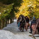 Kulig Dolina Kościeliska Janosik Travel - kuligi - kulig - Kościelisko