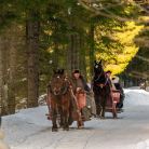 Kulig Dolina Kościeliska Janosik Travel - kuligi - kulig - Kościelisko