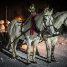 Kulig na Gubałówce Janosik Travel - kuligi - kulig - Zakopane