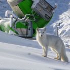 Stacja narciarska Hajduk - wyciągi orczykowe - wyciąg orczykowy - Murzasichle