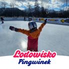 Lodowisko Pingwinek Zakopane - dla aktywnych - lodowisko - Zakopane
