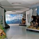 Muzeum Tatrzańskie im. Dra Tytusa Chałubińskiego - zabytki i zwiedzanie - muzeum - Zakopane