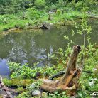 Dolina Olczyska - doliny - dolina - Tatry