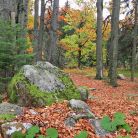Kuźnice - co warto zobaczyć - ciekawe miejsce - Zakopane