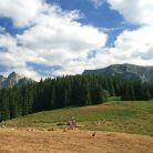 Dolina Miętusia - doliny - dolina - Tatry
