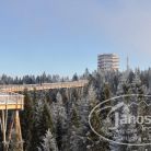 Ścieżka koronami drzew Słowacja - z przewodnikiem - wycieczka z przewodnikiem - Zakopane