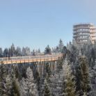 Ścieżka koronami drzew Słowacja - z przewodnikiem - wycieczka z przewodnikiem - Zakopane