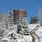 Ścieżka koronami drzew Słowacja - z przewodnikiem - wycieczka z przewodnikiem - Zakopane