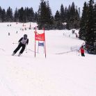 Szkoła narciarska i snowboardowa Ski Plus - szkoły narciarskie - szkoła narciarskia - Jurgów