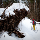Trasa skitourowa z Kuźnic na Halę Gąsienicową - skitury - skitourowe zakopane - Zakopane