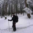 Trasa skitourowa z Doliny Małej Łąki na Wyżnie Stanikowe Siodło - skitury - skitourowe zakopane - Kościelisko