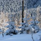 Trasa skitourowa z Doliny Małej Łąki na Wyżnie Stanikowe Siodło - skitury - skitourowe zakopane - Kościelisko