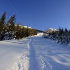 Trasa skitourowa z Kuźnic na Zawrat - skitury - skitourowe zakopane - Zakopane