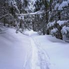 Trasa skitourowa z Doliny Strążyskiej Na Przełęcz w Grzybowcu - skitury - skitourowe zakopane - Zakopane