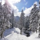 Skitourowe Zakopane. Trasa z Doliny Strążyskiej Na Przełęcz w Grzybowcu