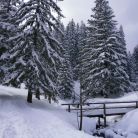 Trasa skitourowa z Doliny Strążyskiej Na Przełęcz w Grzybowcu - skitury - skitourowe zakopane - Zakopane