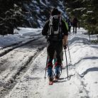 Trasa skitourowa z Dol. Chochołowskiej na Wołowiec 2 - skitury - skitourowe zakopane - Witów