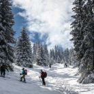 Trasa skitourowa z Dol. Chochołowskiej na Jarząbczy Wierch - skitury - skitourowe zakopane - Witów