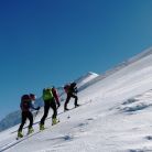 Trasa skitourowa z Dol. Chochołowskiej na Jarząbczy Wierch - skitury - skitourowe zakopane - Witów