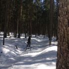 Trasa skitourowa z Toporowej Cyrhli przez Wielki Kopieniec na Nosalową Przełęcz - skitury - skitourowe zakopane - Zakopane