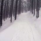 Trasa skitourowa z Kuźnic na Kasprowy Wierch - skitury - skitourowe zakopane - Zakopane